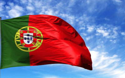 Organizacje pozarządowe w Portugalii